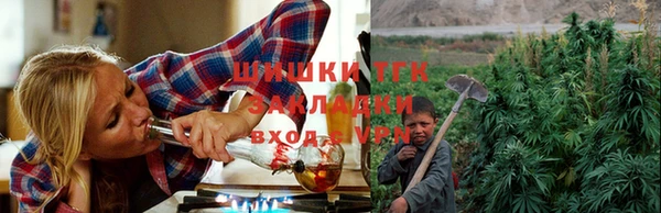 тгк Вязники