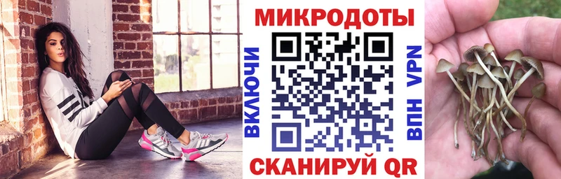 Псилоцибиновые грибы Psilocybine cubensis  Купить закладки  Куса 